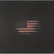 Worn American Flag on LG 